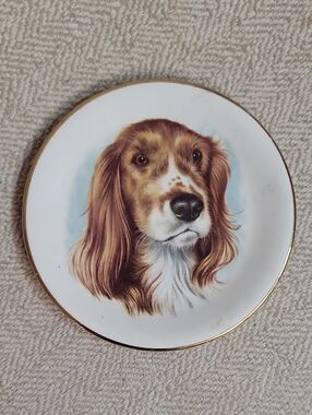 Vintage EDCO Made in England Dog Trinket Dish Plate - Spaniel / Setter Portrait